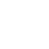 download_icon